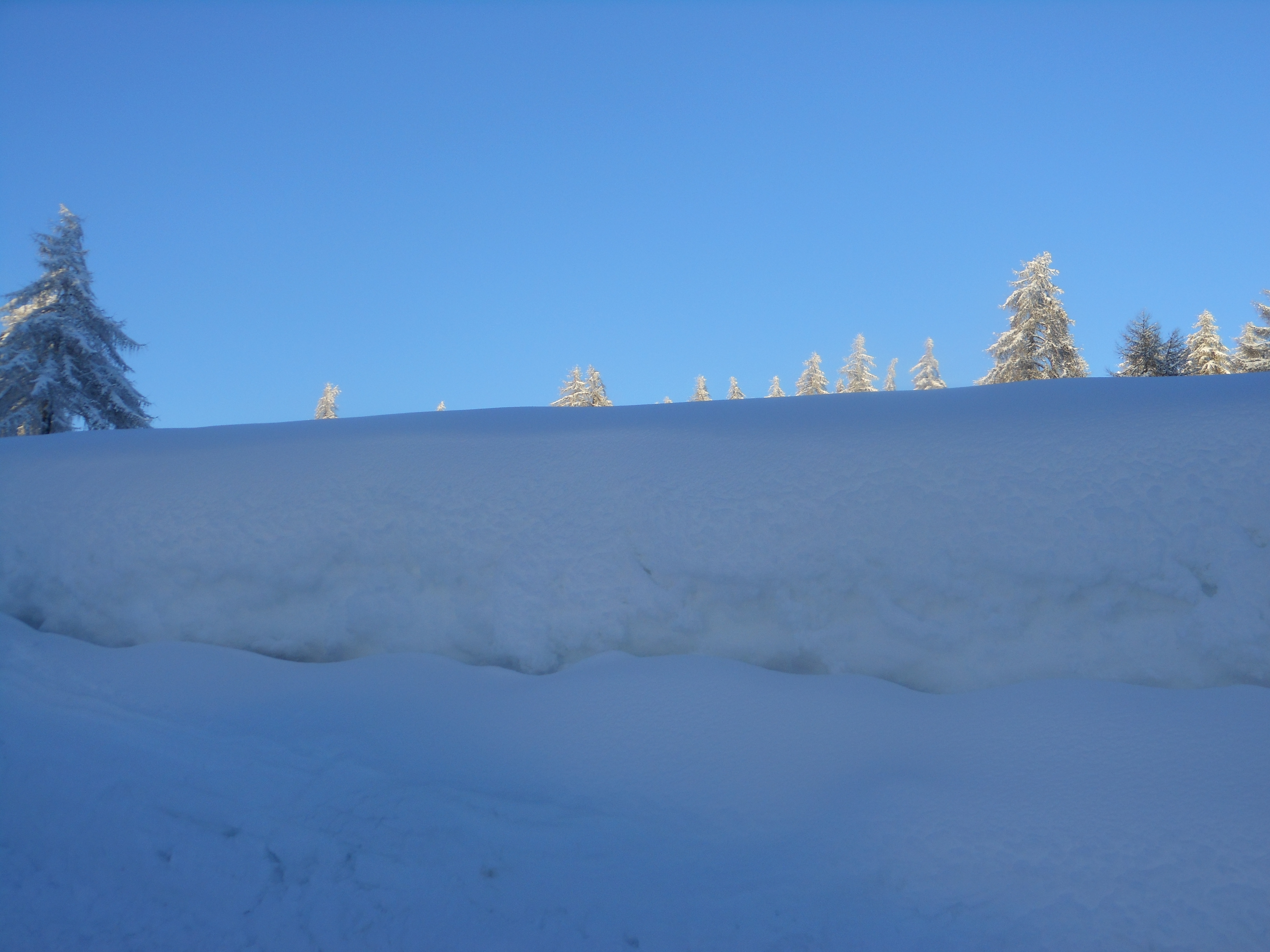 Schneelandschaft